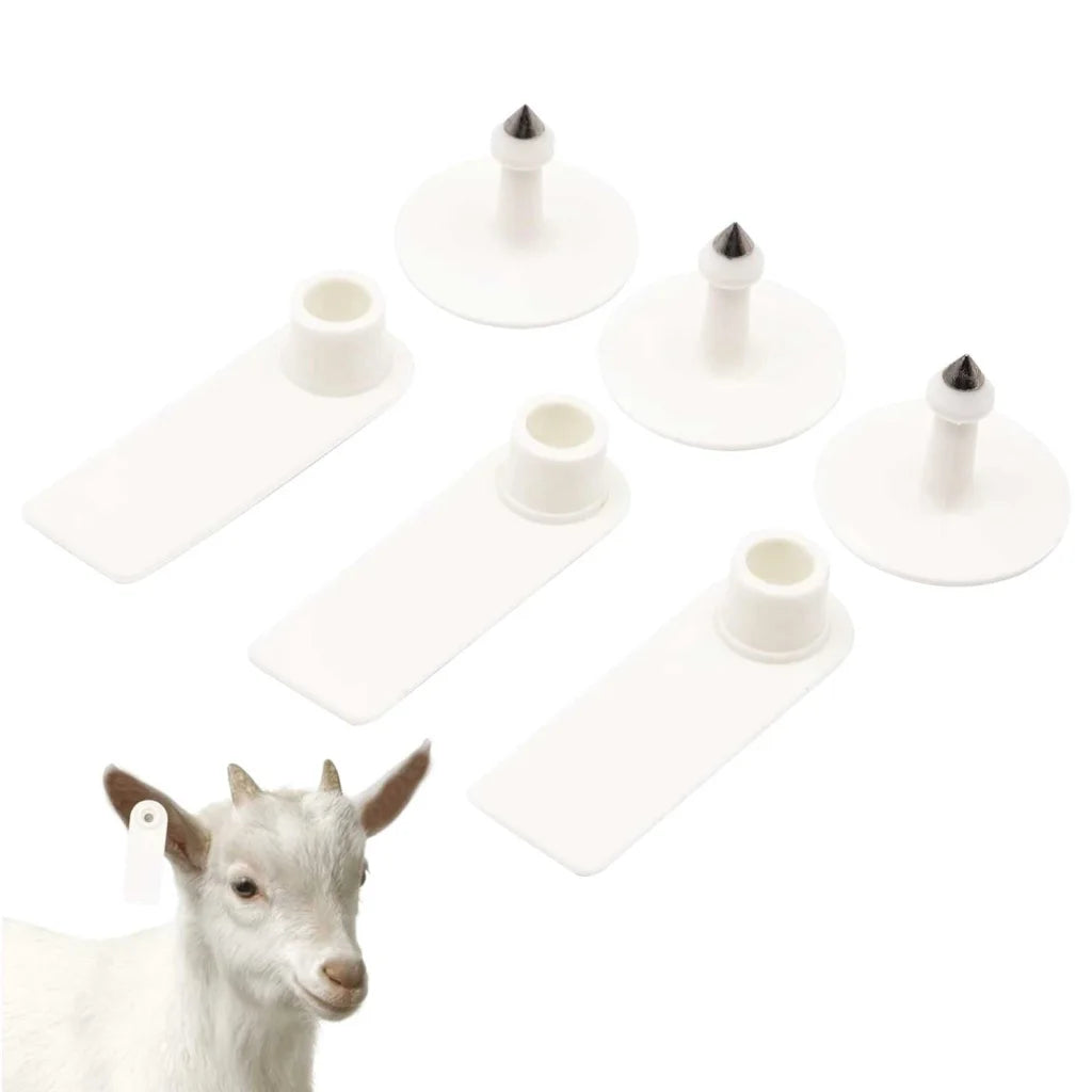 Cattle Ear Tags 100x 5x2cm Set - Mini White Blank Pig Goat