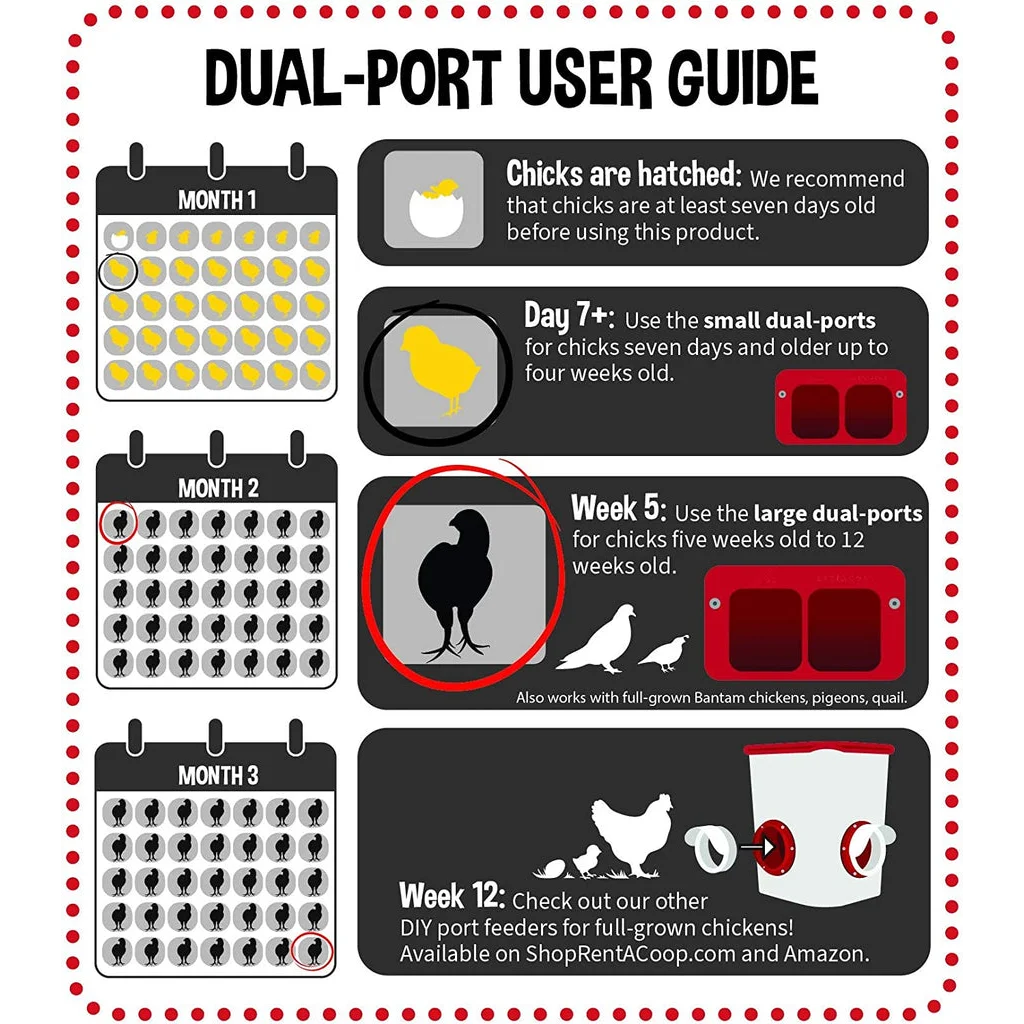 Chicken Feeder Dual Port Kit Cheeky Chooka