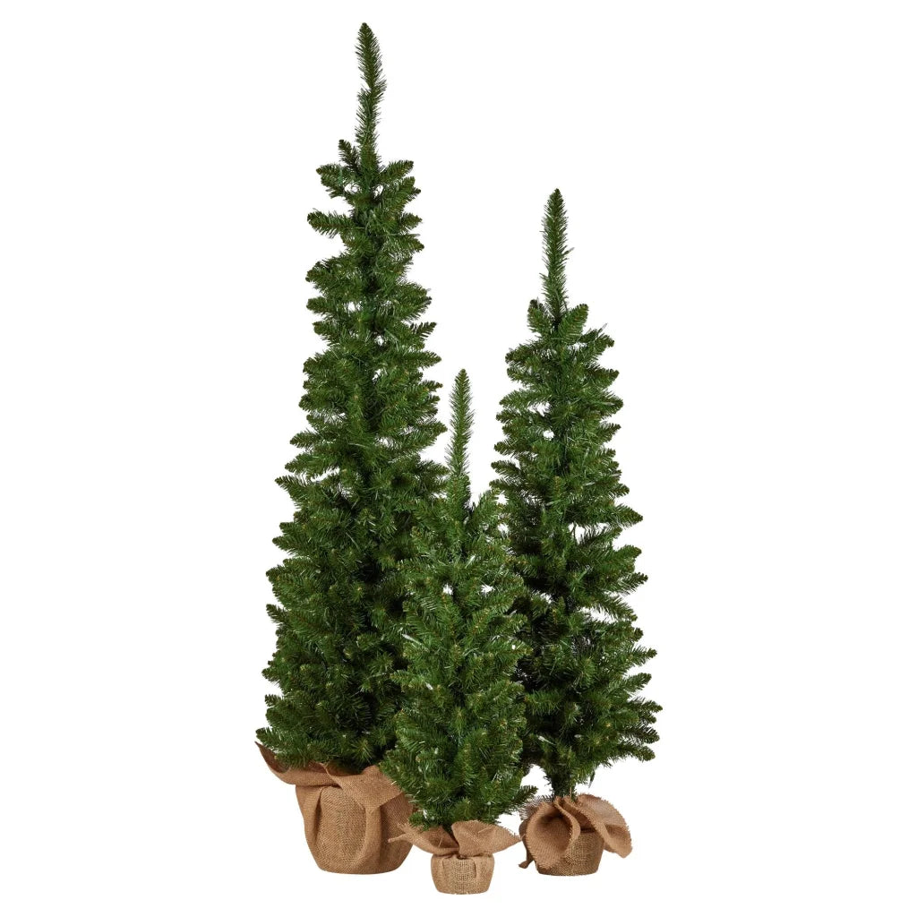 Christabelle Set of 3 Pre-Lit Christmas Trees Green Pine