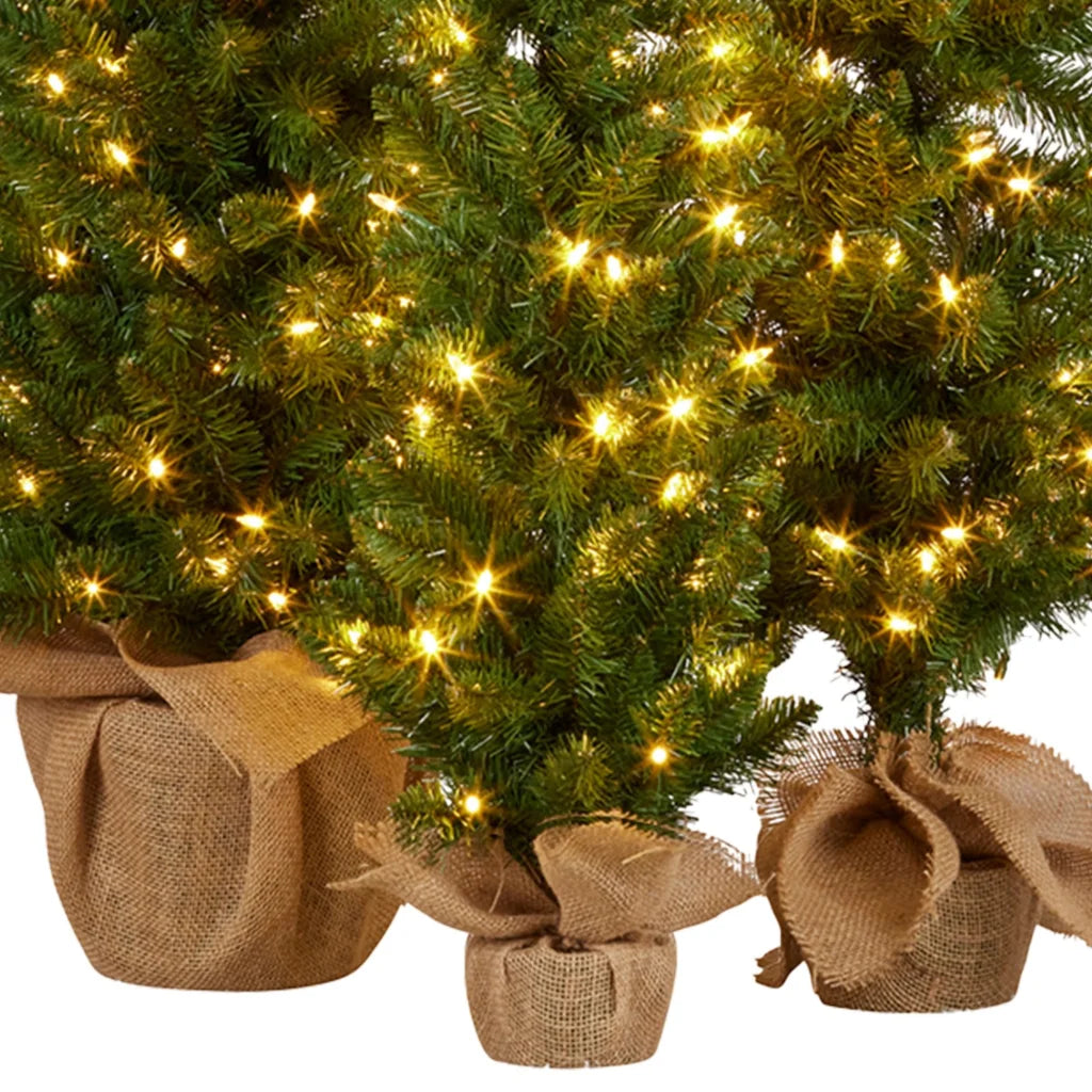 Christabelle Set of 3 Pre-Lit Christmas Trees Green Pine