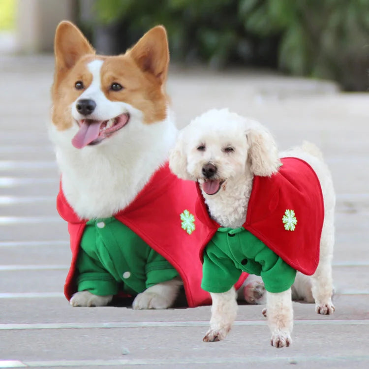 Christmas Dog Costume - Festive Hooded Cape & Green