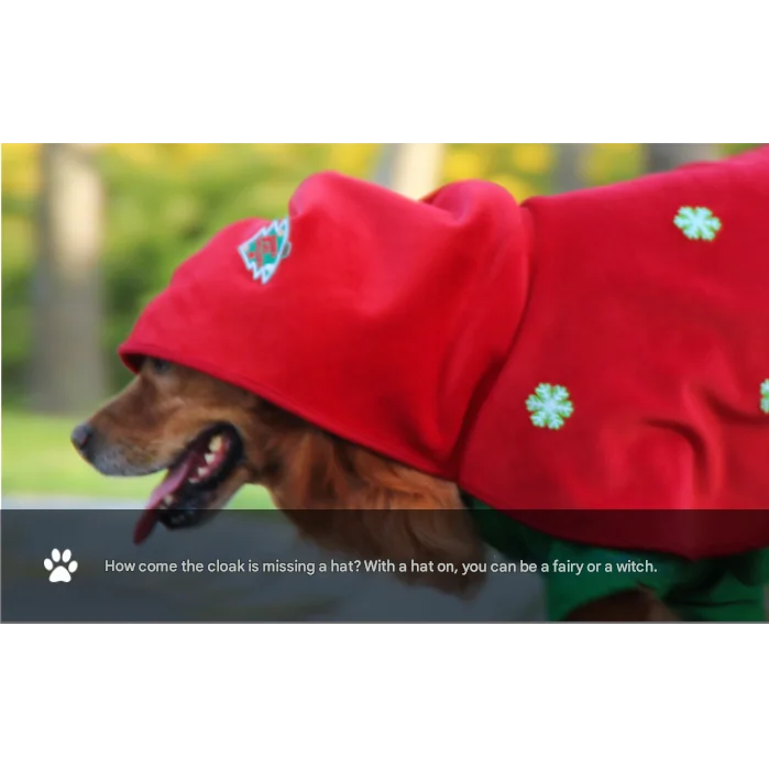 Christmas Dog Costume - Festive Hooded Cape & Green
