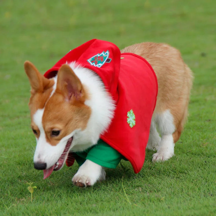 Christmas Dog Costume - Festive Hooded Cape & Green