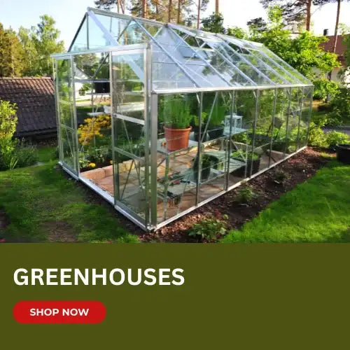 Clear glass greenhouse with a silver metal frame.