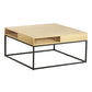 Coffee Table with Storage Shelf and Metal Frame - Furniture