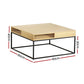 Coffee Table with Storage Shelf and Metal Frame - Furniture