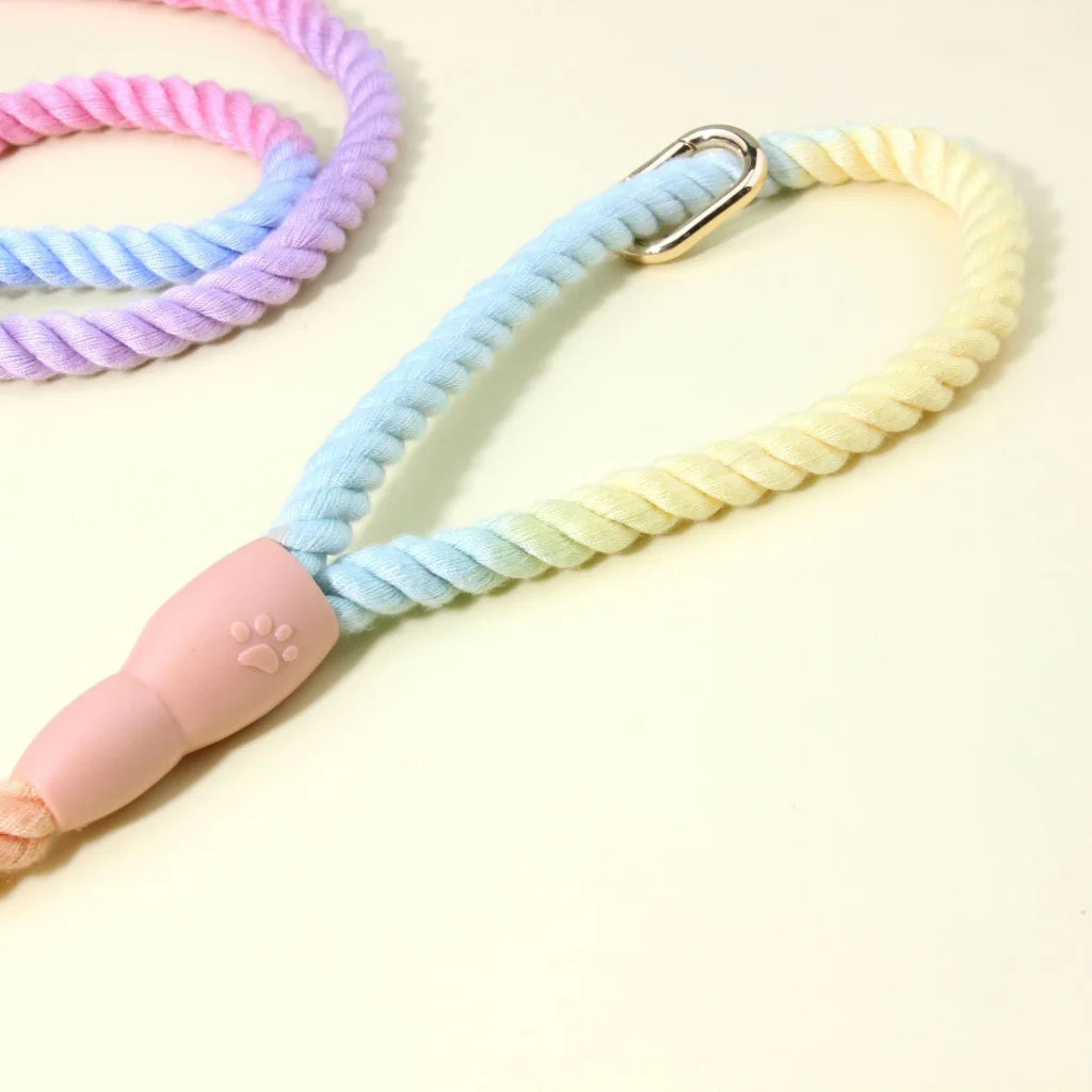 Colorful Vibrant Rainbow Ombre Rope Dog Leash - Durable
