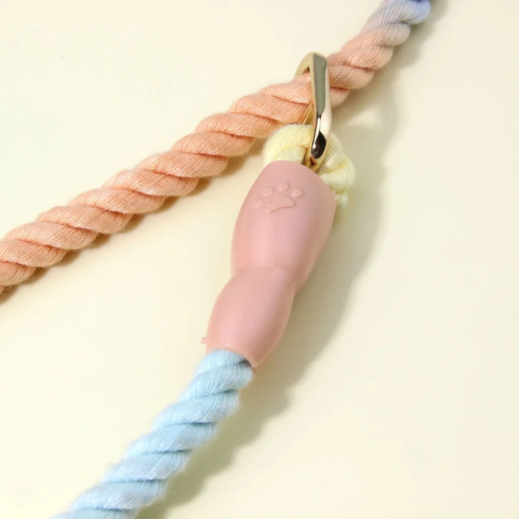 Colorful Vibrant Rainbow Ombre Rope Dog Leash - Durable