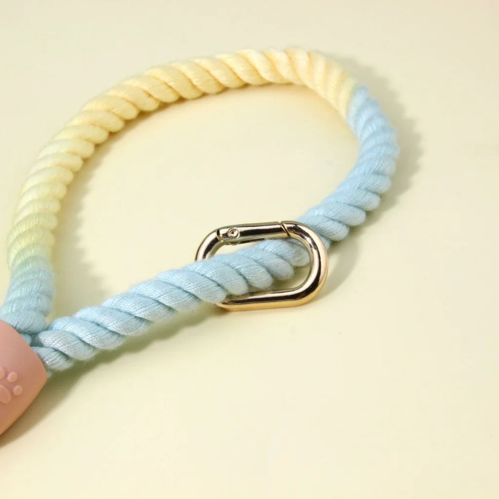Colorful Vibrant Rainbow Ombre Rope Dog Leash - Durable