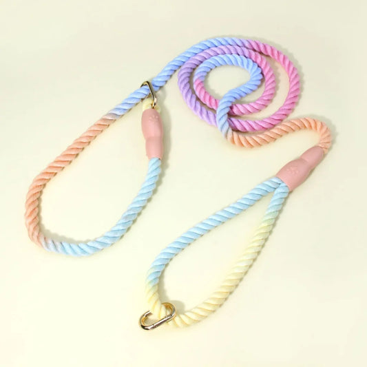Colorful Vibrant Rainbow Ombre Rope Dog Leash - Durable