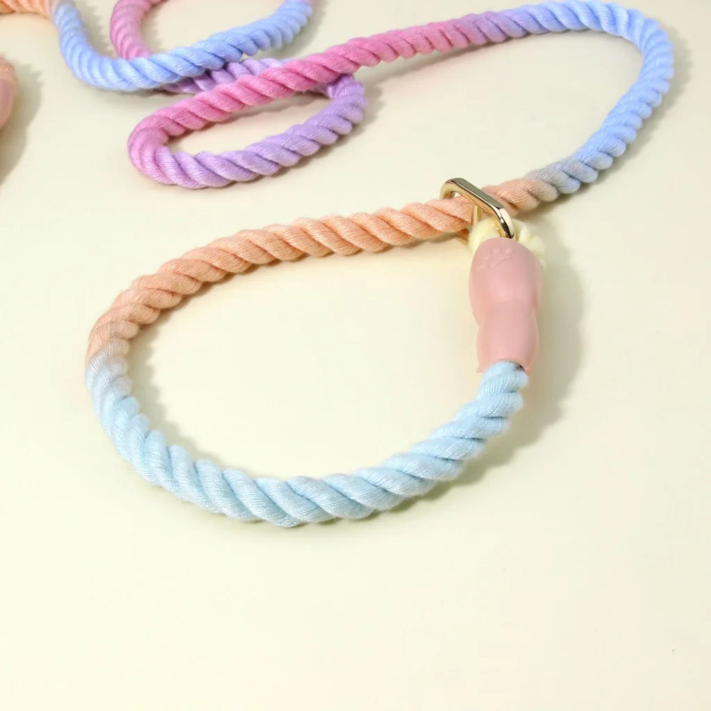 Colorful Vibrant Rainbow Ombre Rope Dog Leash - Durable