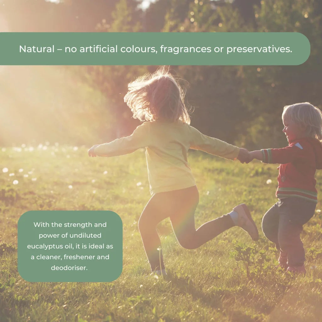 Commercial Cleaner 4L Natural Bosisto’s Eucalyptus Oil