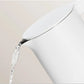 Constant Temperature Kettle - Appliances