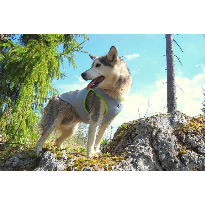 Cooling Vest - Neon Yellow (L)