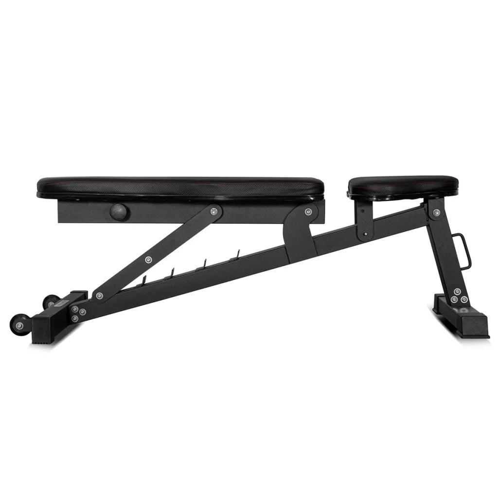 CORTEX BN-6 Standalone Workout Bench - Sports & Fitness