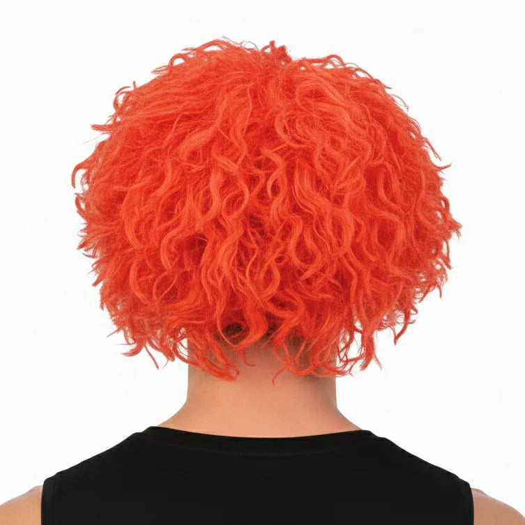 CRAZY WIG Afro Style Costume Party Fancy Dress Curly Hair