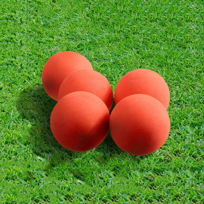 Cricket Ball Pitcher 407