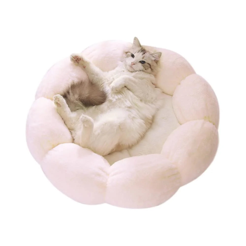 Cute Cat Bed LIFEBEA Anti-Skid for Cats and Small Dogs