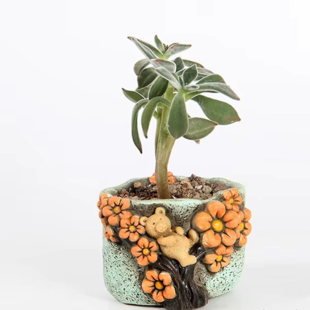 Cute hand painted bear succulent pot. Random design - Home