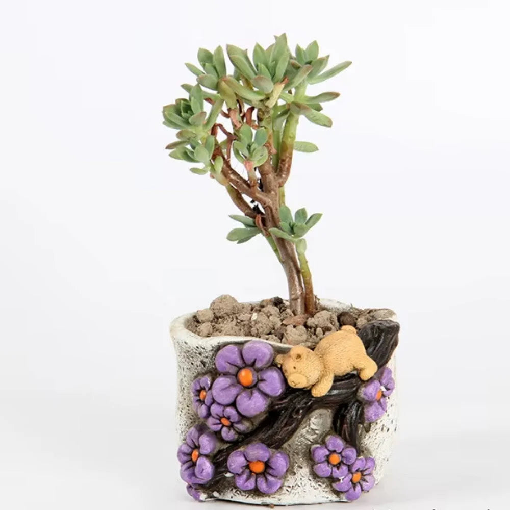Cute hand painted bear succulent pot. Random design - Home