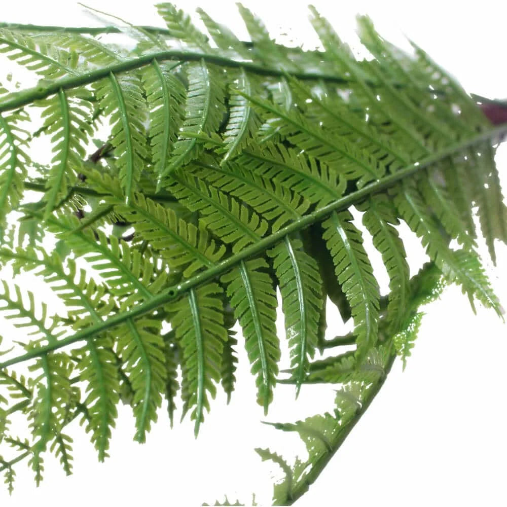 Dark Fern Stem UV Resistant 38cm - Home & Garden >