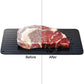 Defrost Express Defrosting Meat Tray