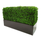 Deluxe Portable Buxus (Bright) UV Resistant 100cm Long x