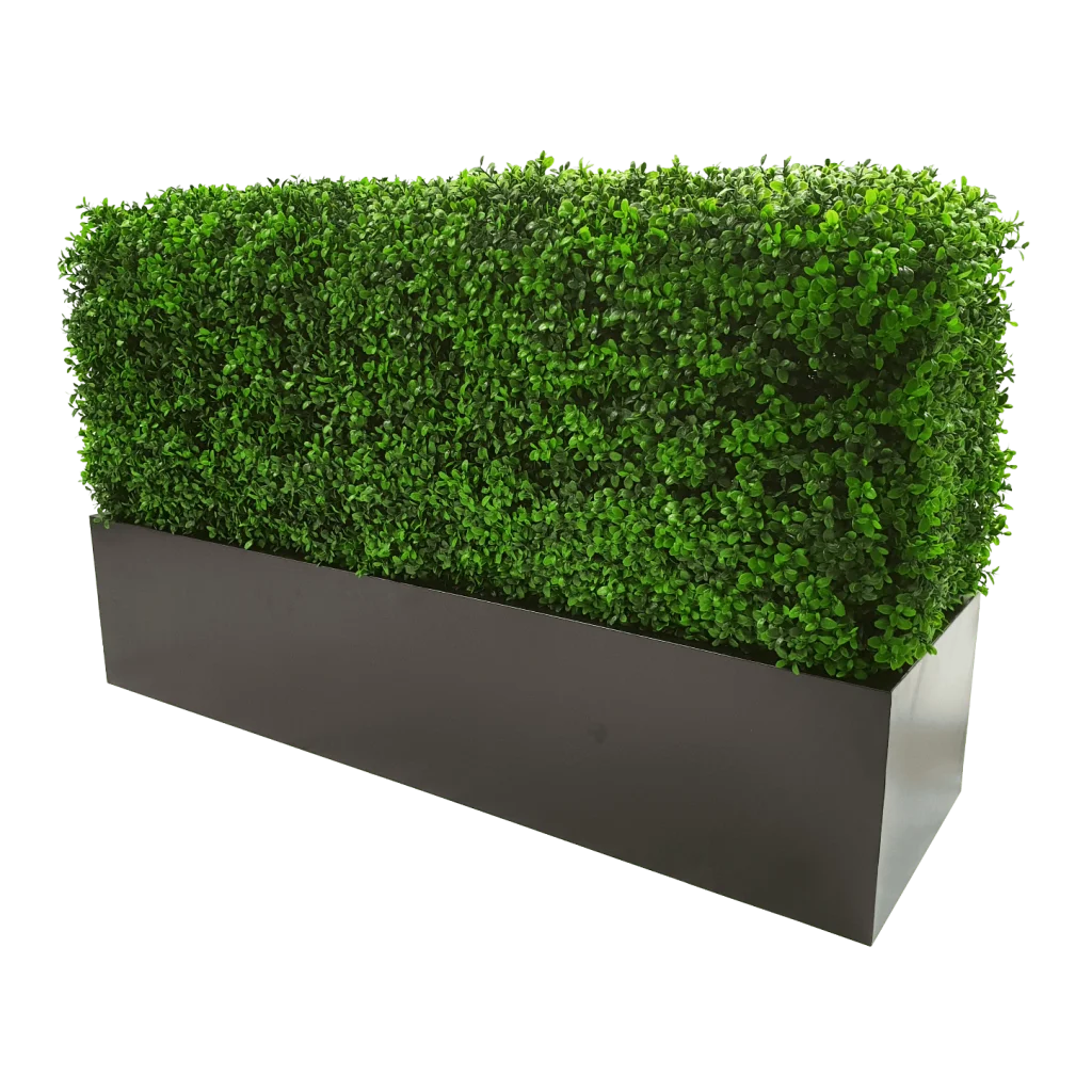 Deluxe Portable Buxus (Bright) UV Resistant 100cm Long x