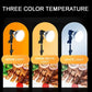 Desktop Photography Stand Kit with Mushroom Fill Light