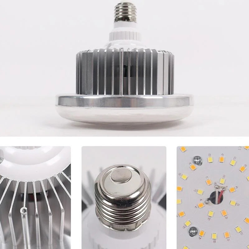 Desktop Photography Stand Kit with Mushroom Fill Light