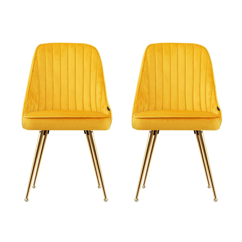 Set of two metal dining chairs