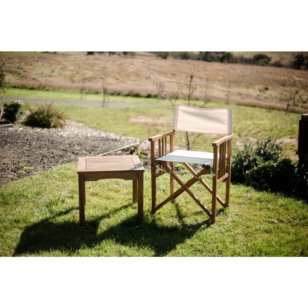 Director Chair and Side Table - Furniture