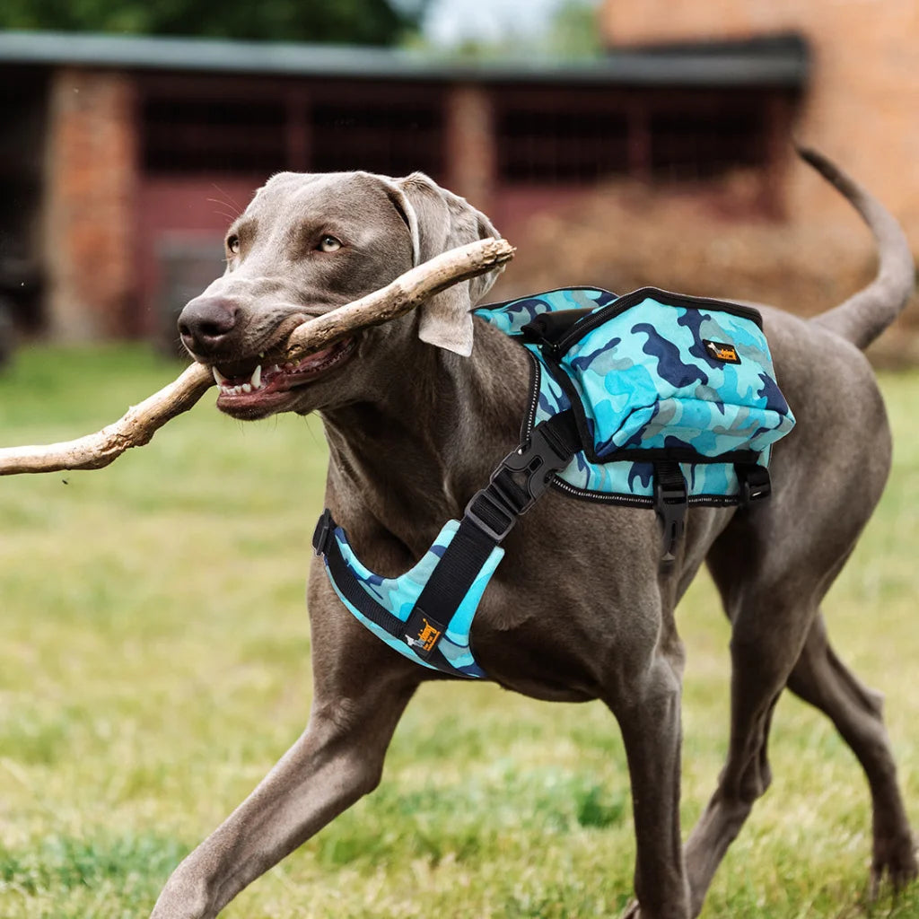 Dog Backpack Harness Pet Carrier Saddle Bag Reflective