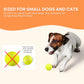 Dog Ball Thrower Hyper Fetch Mini Small Interactive Pet