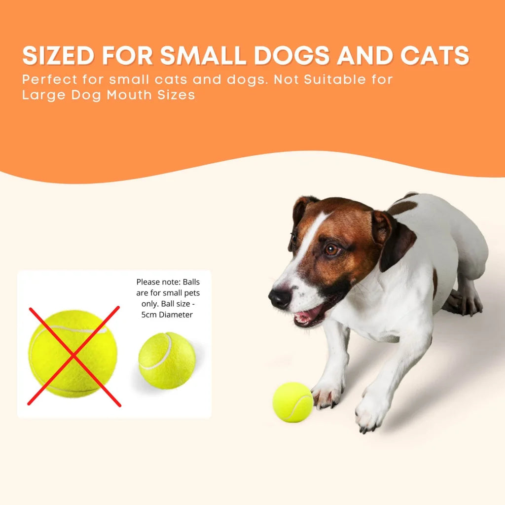 Dog Ball Thrower Hyper Fetch Mini Small Interactive Pet