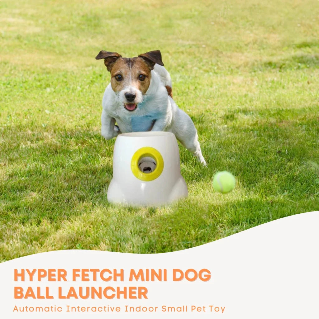 Dog Ball Thrower Hyper Fetch Mini