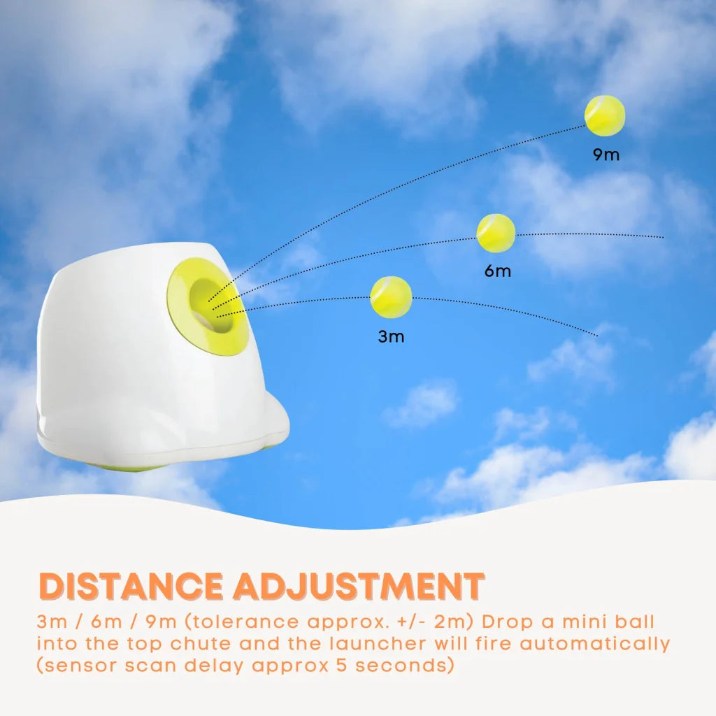 Dog Ball Thrower Hyper Fetch Mini Small Interactive Pet Toy