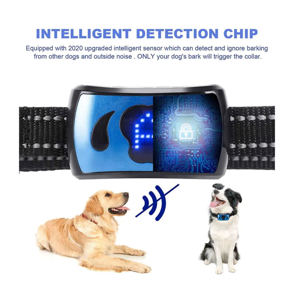 Dog bark collar with useful parts and product scale