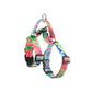 Dog Harness Double-Lined Straps Adjustable S - Sweet Green