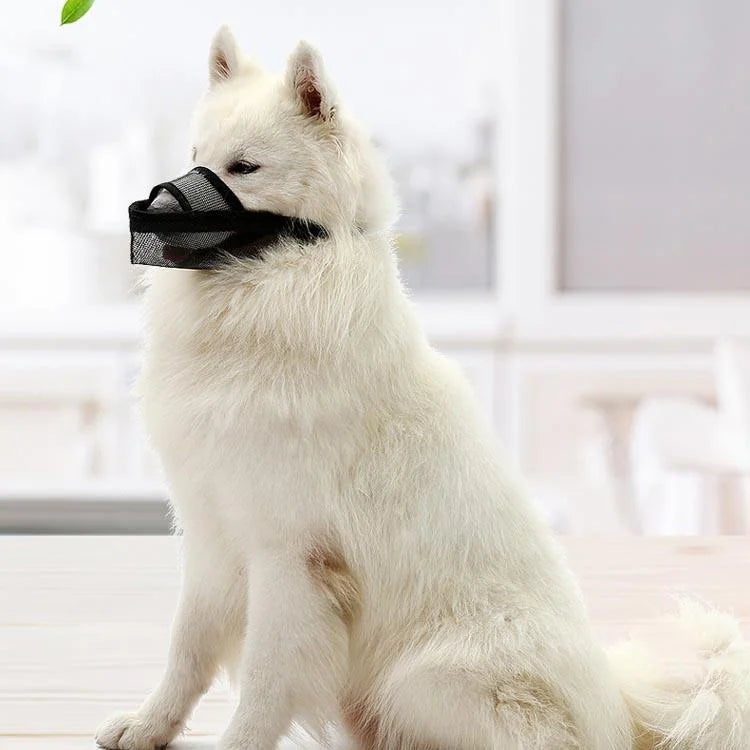 Dog Mouth Cover Anti-Bite Mesh Dog Mouth Cover Medium
