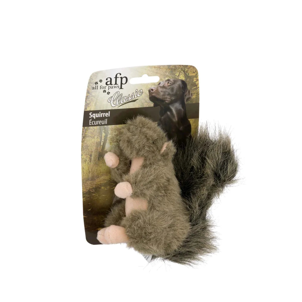 Dog Plush Toy Squirrel Squeaky Interactive Small Life