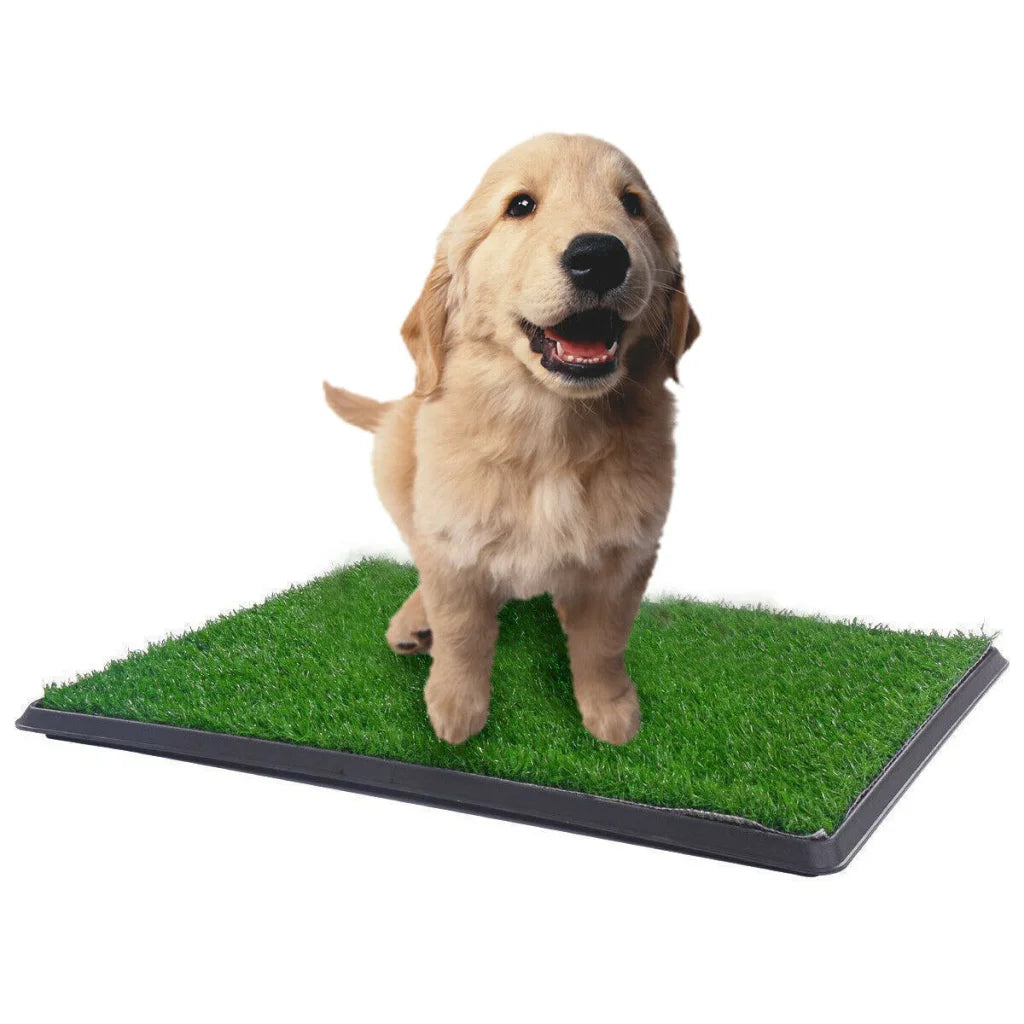 Dog Puppy Toilet Grass Training Mat XL Indoor Loo Pad Potty