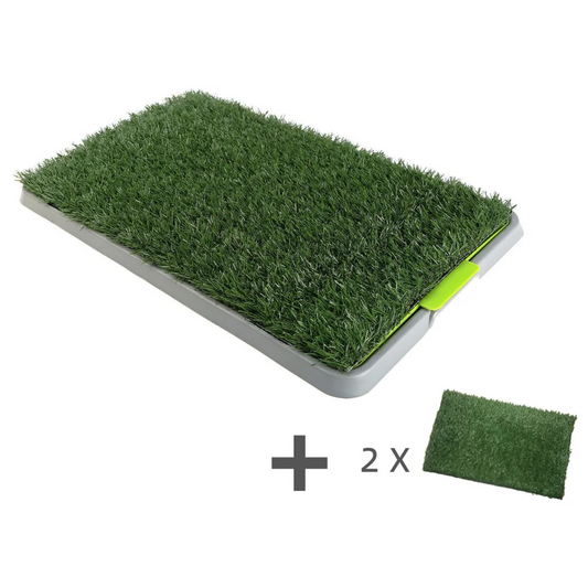 Dog Puppy Toilet Indoor Grass Potty Training Mat Loo Pad