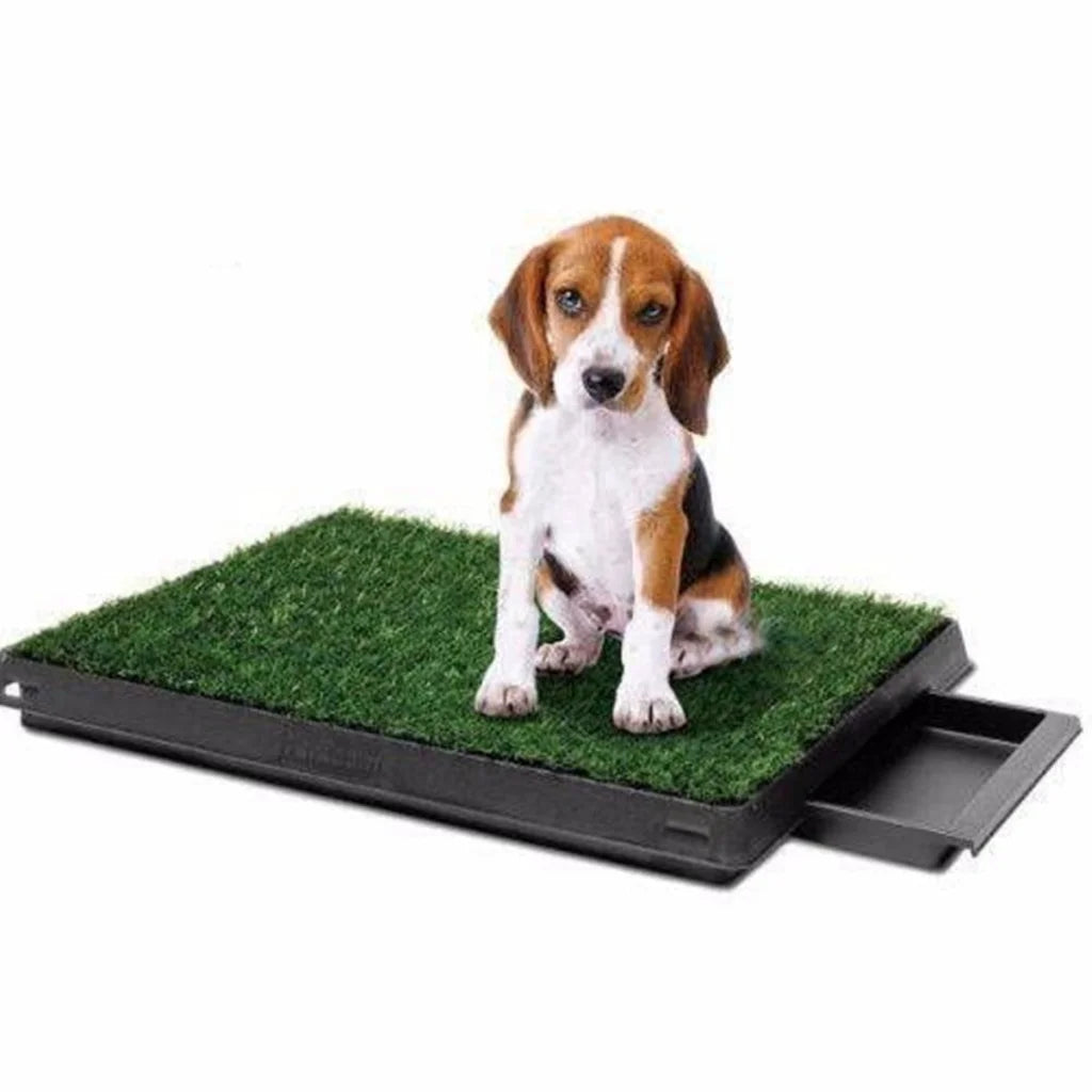 Dog Toilet Indoor Grass Potty Training Mat Loo Pad with 3