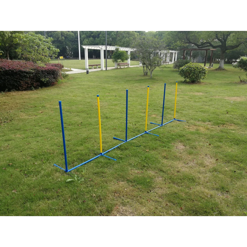 Dog Training Equipment Portable Puppy Agility Weave Poles