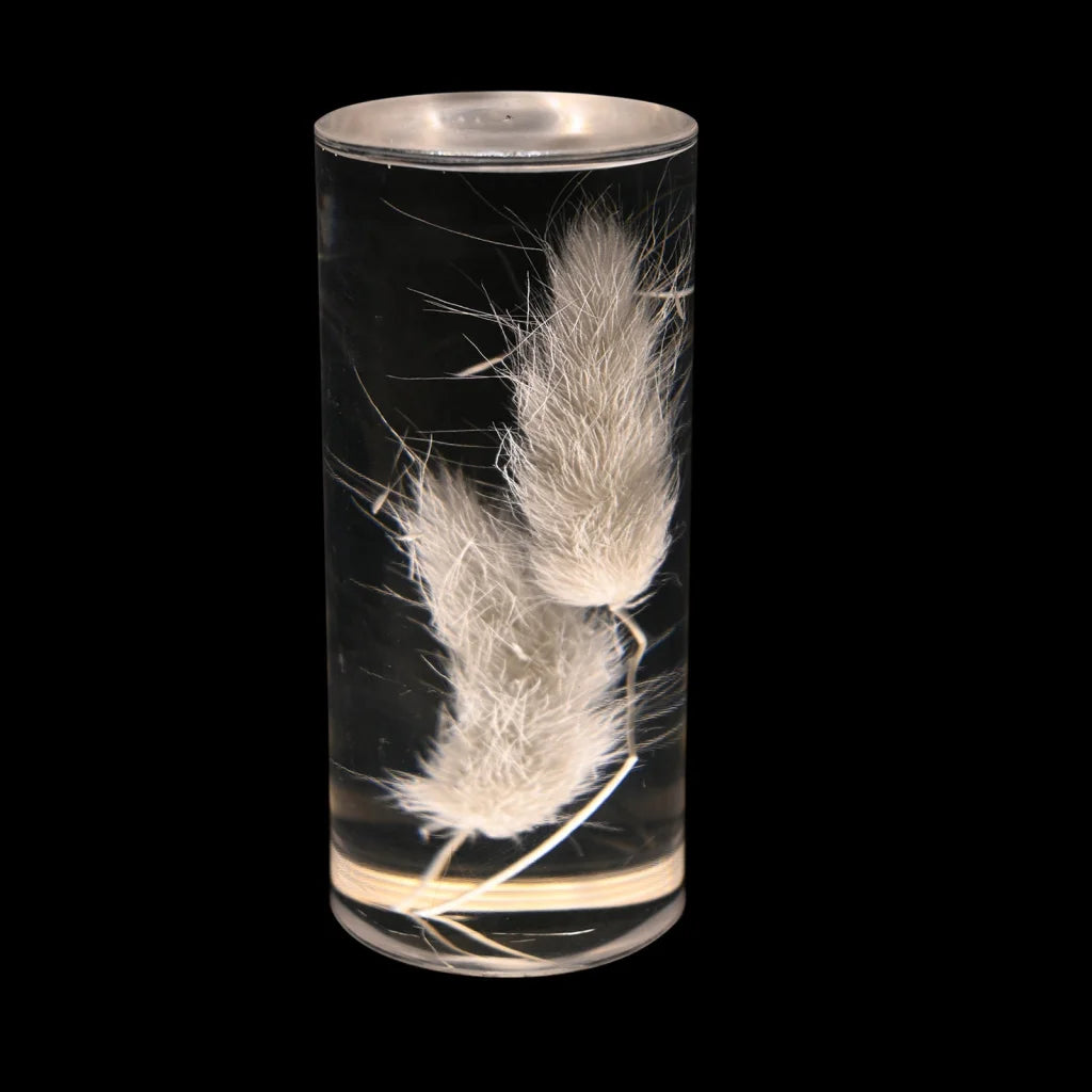 Dogtail Grass Eternal Flower Acrylic Table Lamp