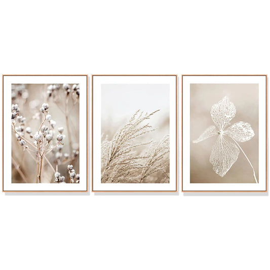 Dried Flower Wall Art - 3 Sets Wood Frame Canvas 40cm x
