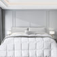 DreamZ 400GSM All Season Bamboo Winter Double