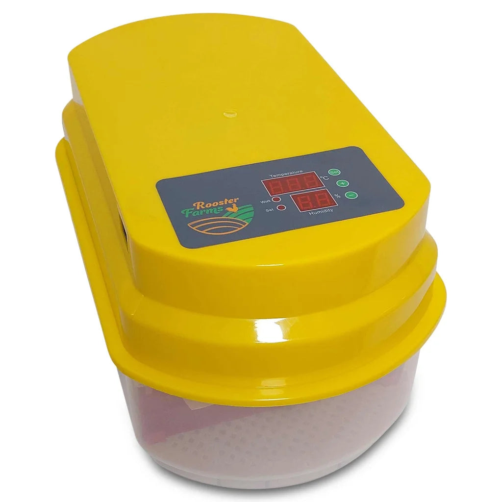 Egg Incubator 12 Eggs + Accessories Hatching for Chicken