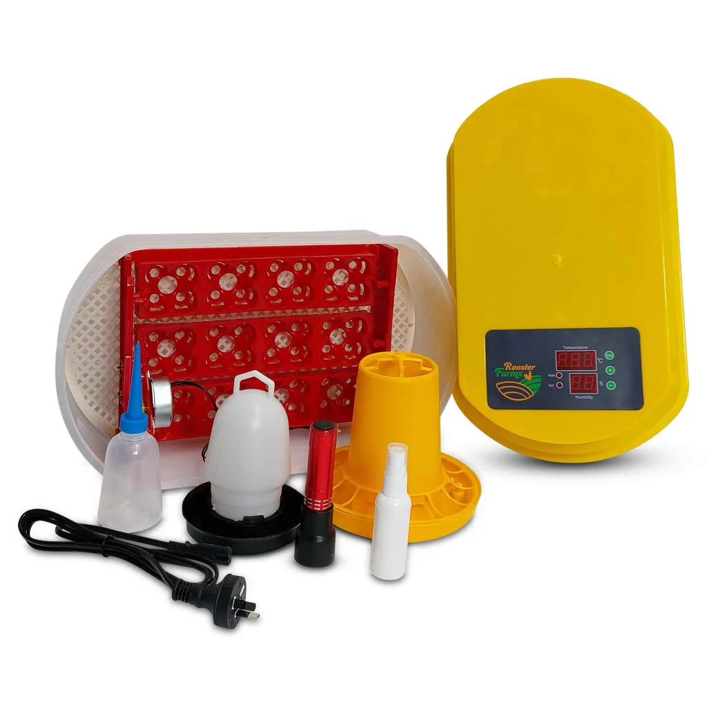 Egg Incubator 12 Eggs + Accessories Hatching for Chicken